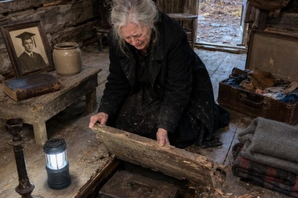 A menyem ellopta a fiam 4 millió dolláros házát, amíg meg nem találtam, mit rejtett a padló alatt – The Archivist